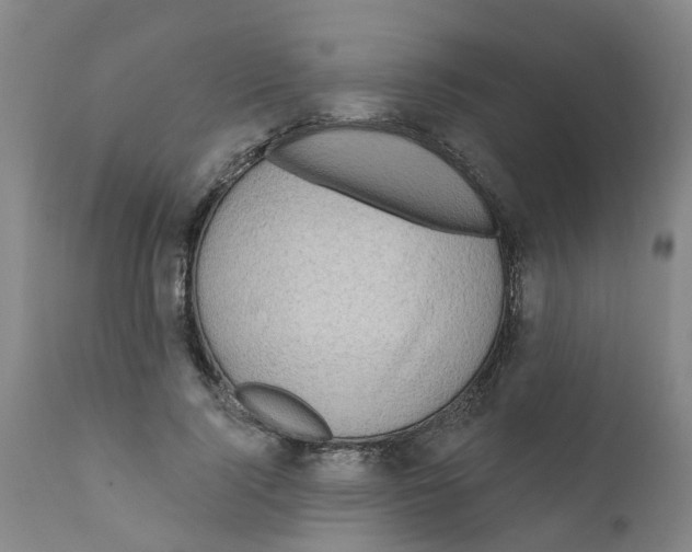 X0000111620740200908141318