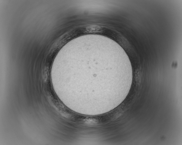 X0000111620741200908141318