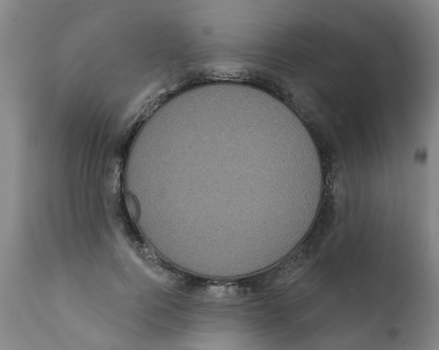 X0000111620744200908141318