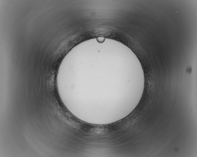 X0000111620745200908141318