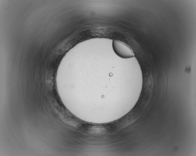 X0000111620749200908141318