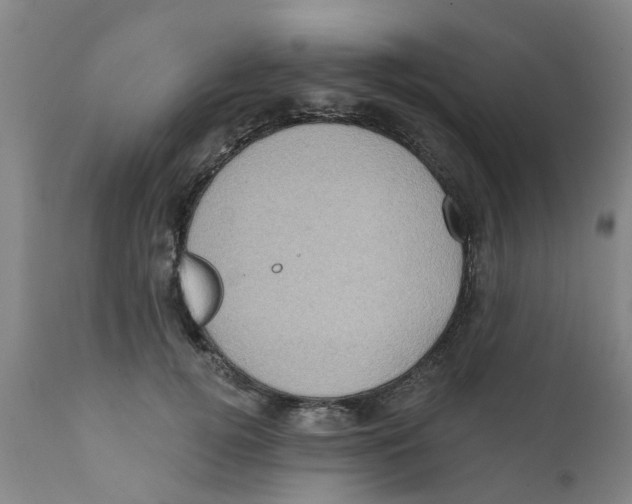 X0000111620752200908141318