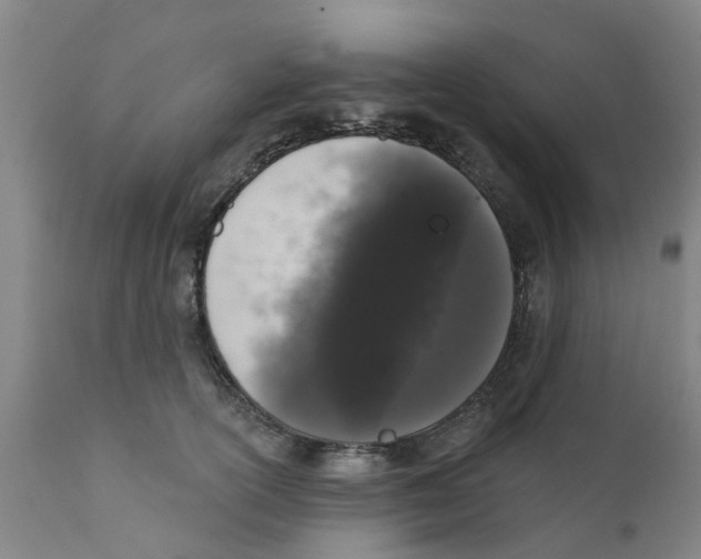 X0000111620754200908141318