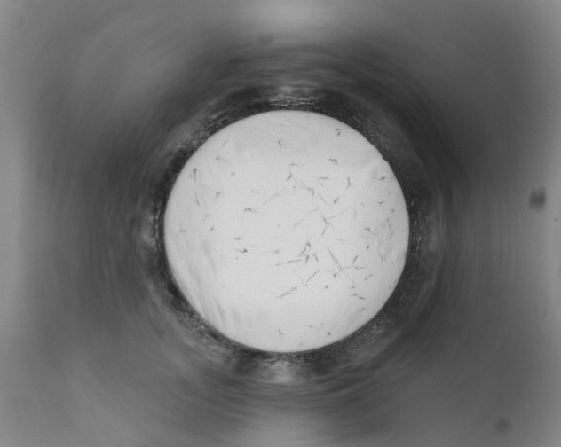 X0000111620755200908141318