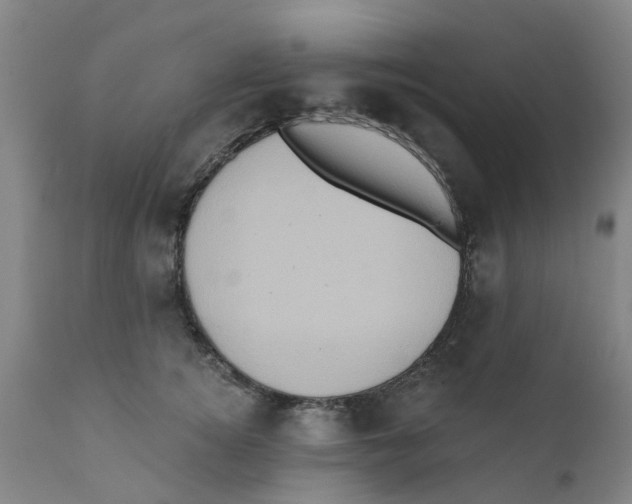 X0000111620756200908141318