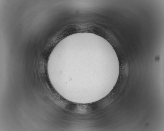 X0000111620757200908141318