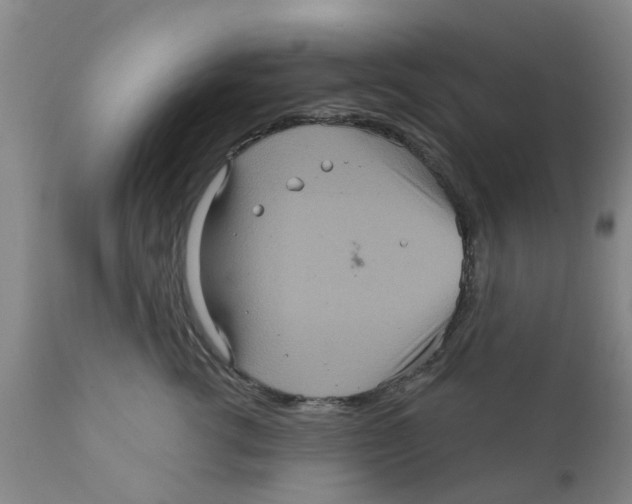 X0000111620762200908141318