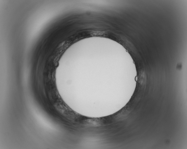 X0000111620763200908141318