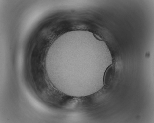 X0000111620764200908141318