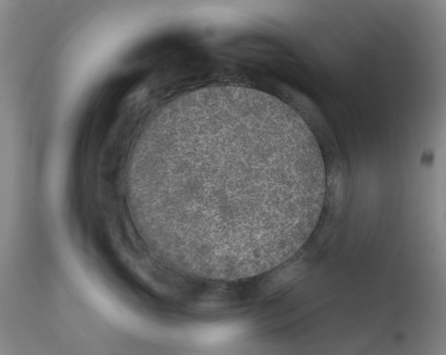 X0000111620765200908141318