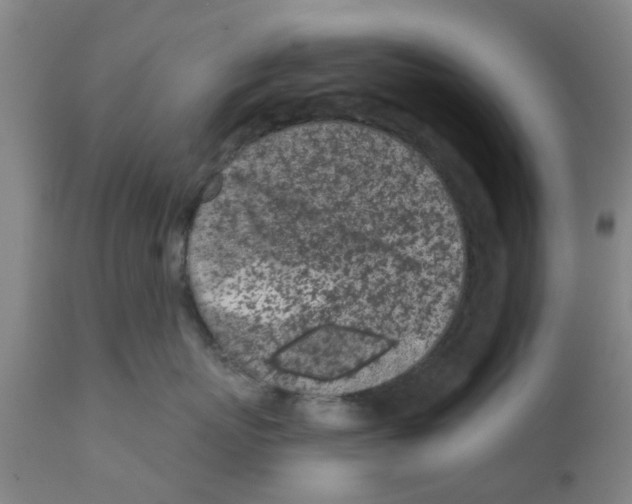 X0000111620767200908141318