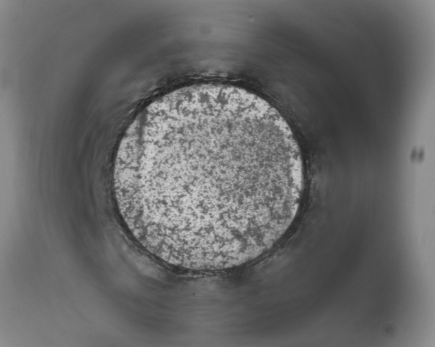 X0000111620769200908141317