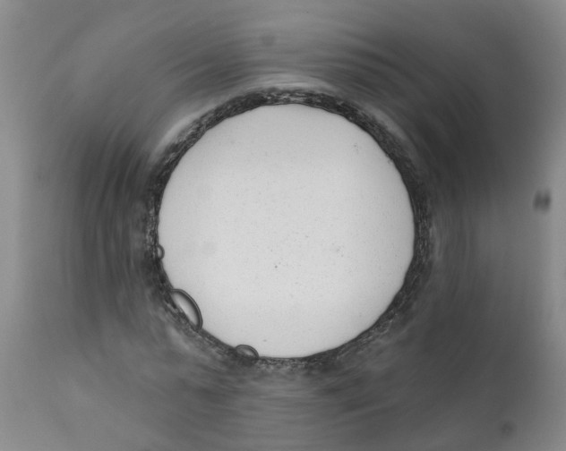 X0000111620775200908141317