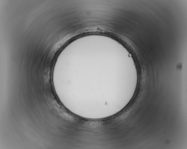 X0000111620778200908141317