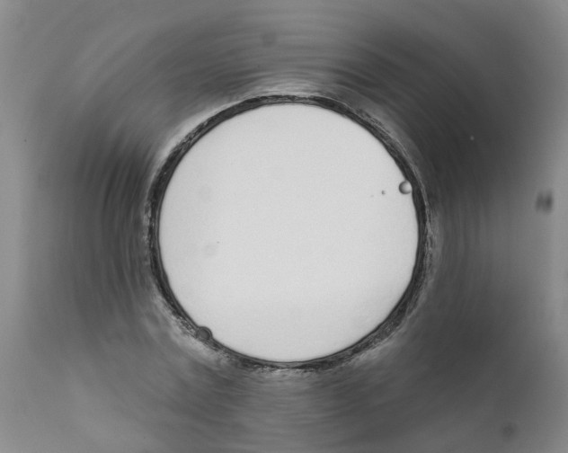 X0000111620779200908141317