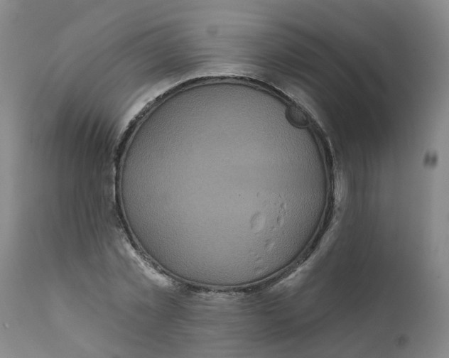 X0000111620781200908141317