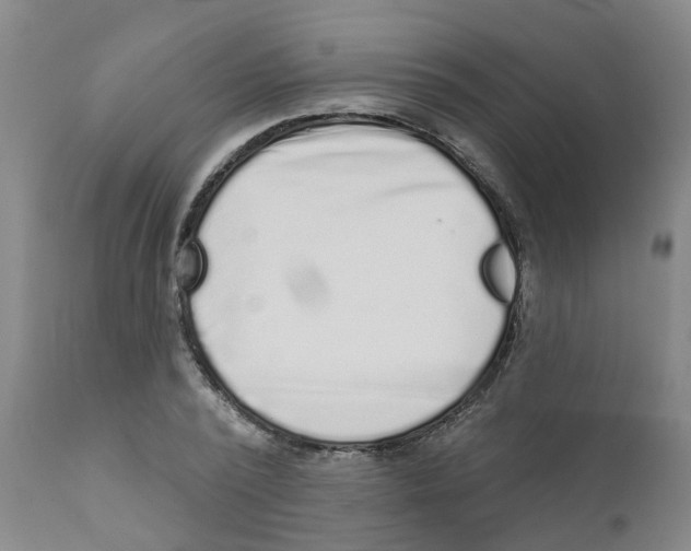 X0000111620784200908141317