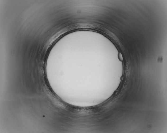 X0000111620786200908141317