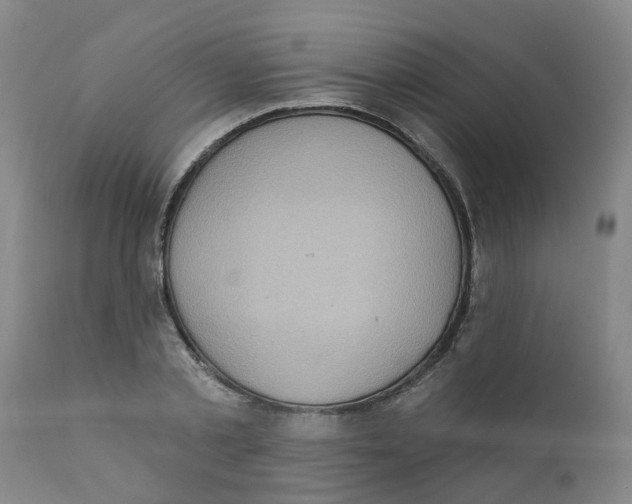 X0000111620789200908141317