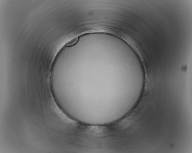 X0000111620805200908141317