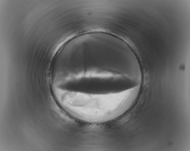 X0000111620806200908141317