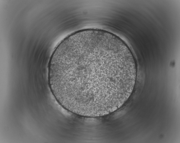 X0000111620807200908141317