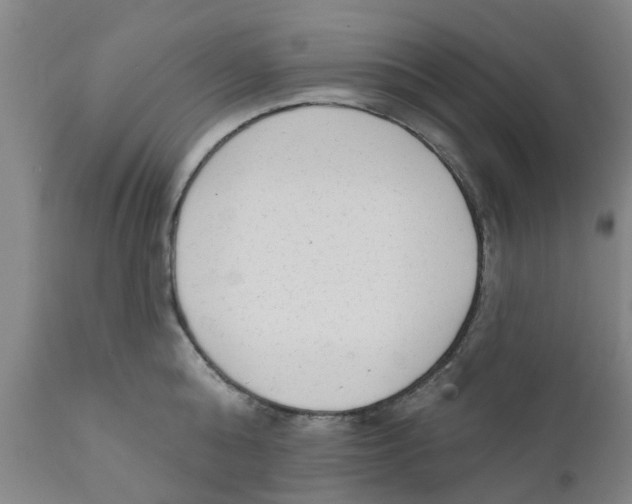 X0000111620808200908141317