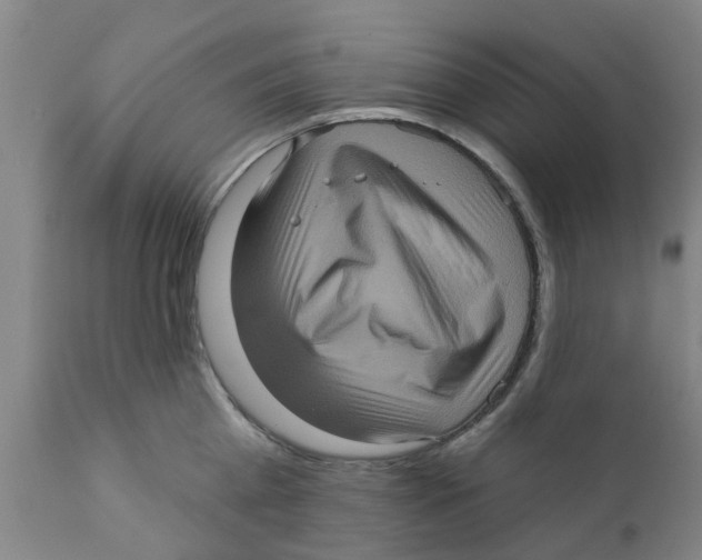 X0000111620809200908141317