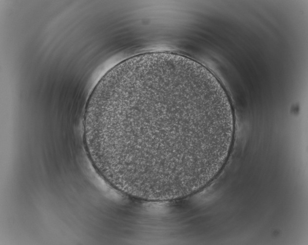 X0000111620810200908141317