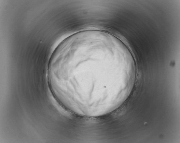 X0000111620811200908141317