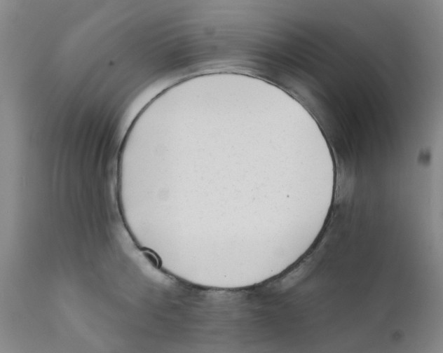 X0000111620812200908141317