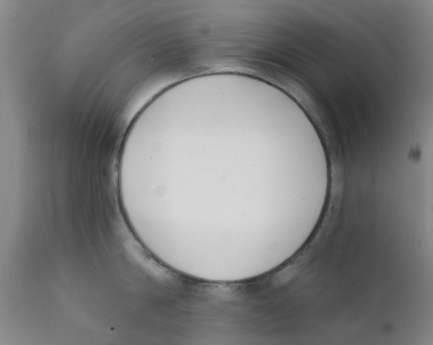 X0000111620814200908141317