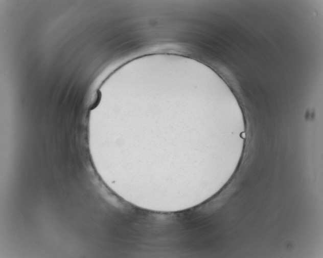 X0000111620816200908141317