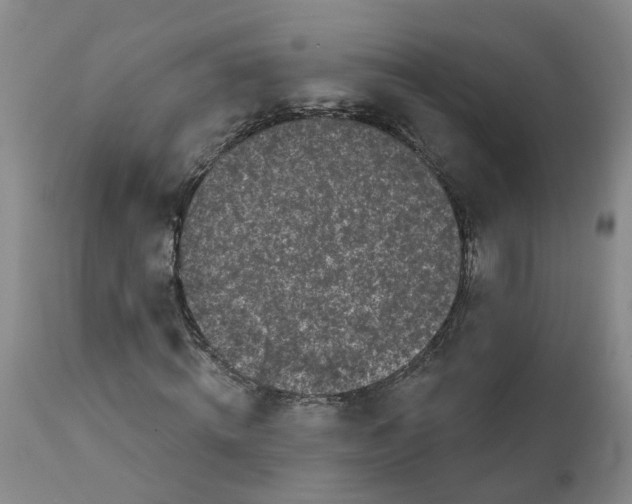 X0000111620820200908141316