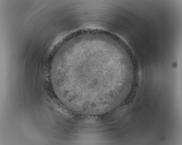 X0000111620823200908141316