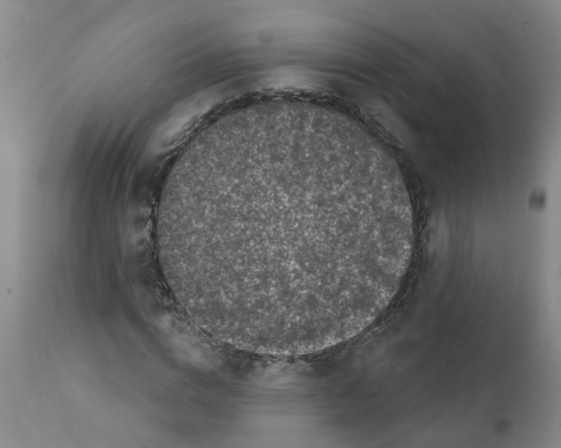 X0000111620824200908141316