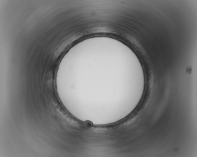 X0000111620825200908141316