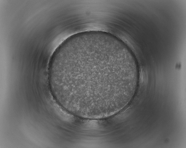 X0000111620828200908141316