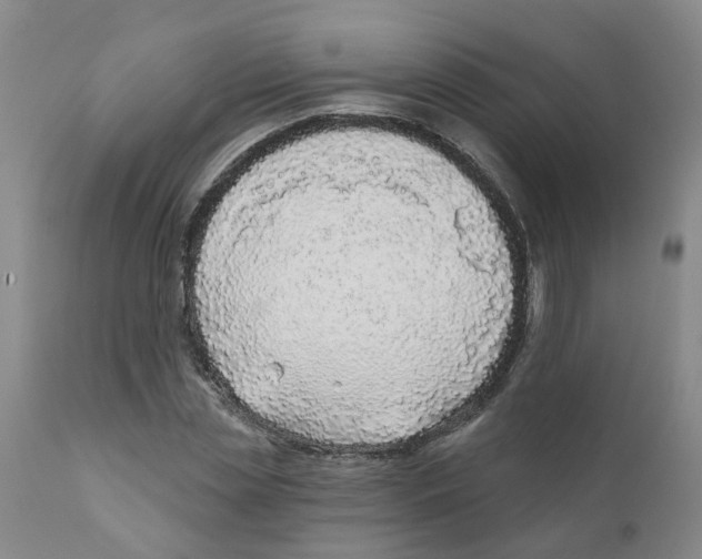 X0000111620829200908141316