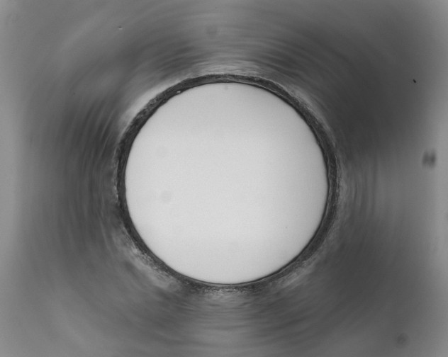 X0000111620830200908141316