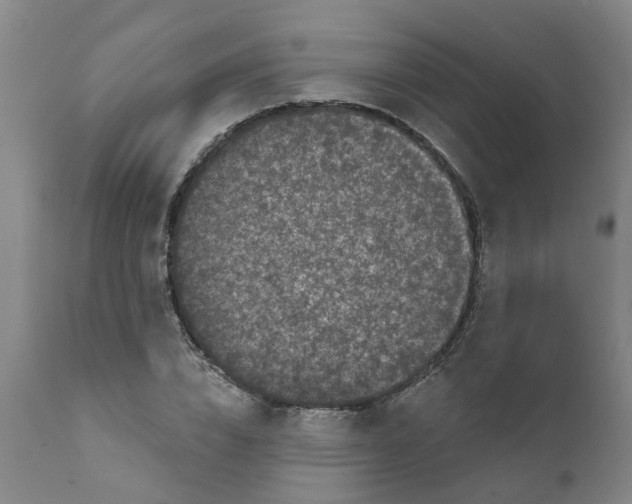 X0000111620832200908141316