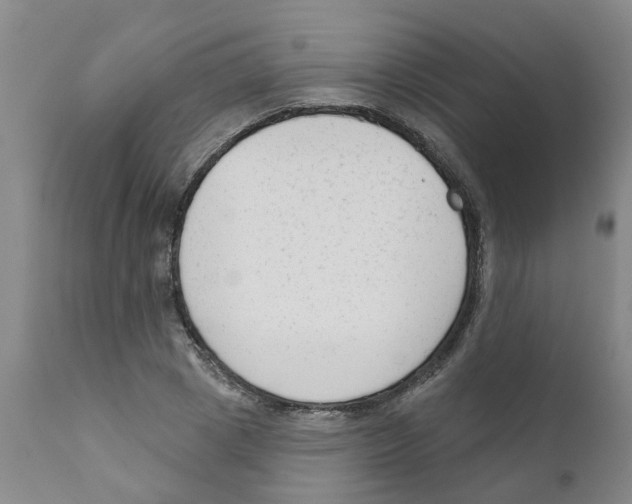 X0000111620833200908141316