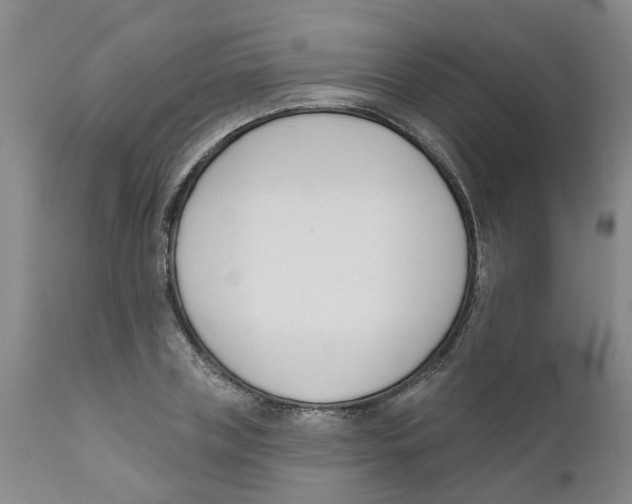 X0000111620835200908141316