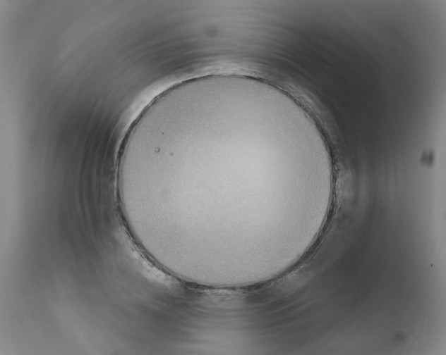 X0000111620836200908141316