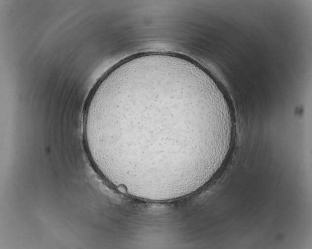 X0000111620839200908141316