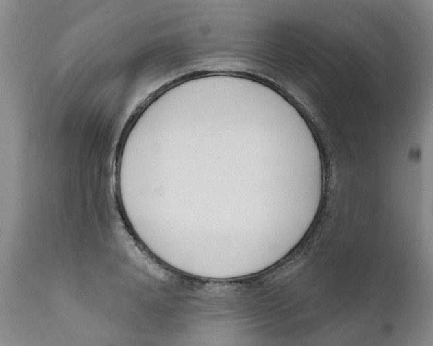 X0000111620840200908141316