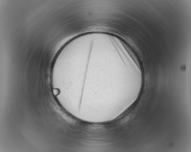 X0000111620846200908141316