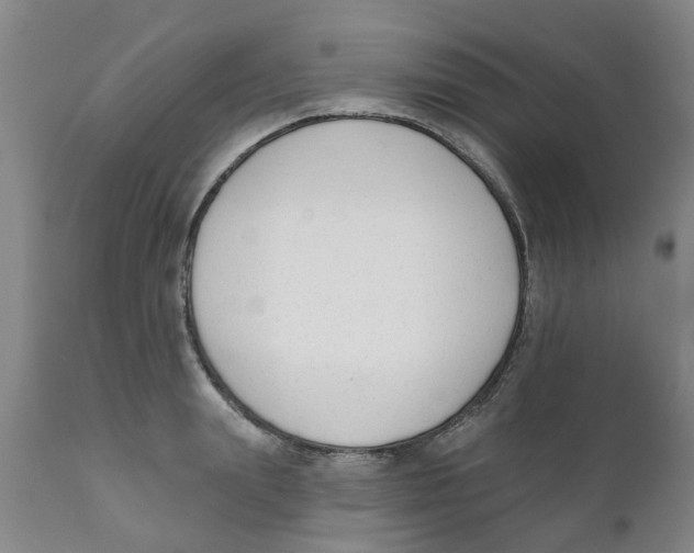 X0000111620847200908141316