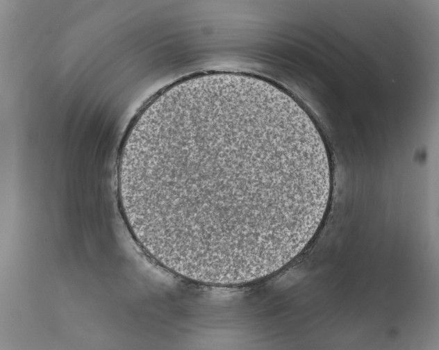 X0000111620848200908141316