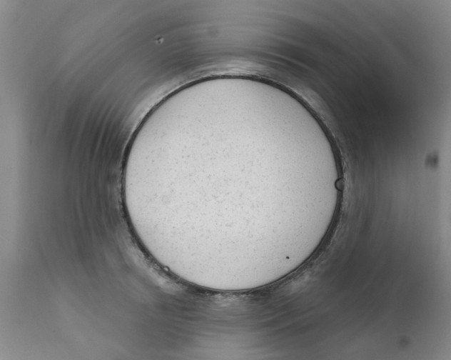 X0000111620850200908141316